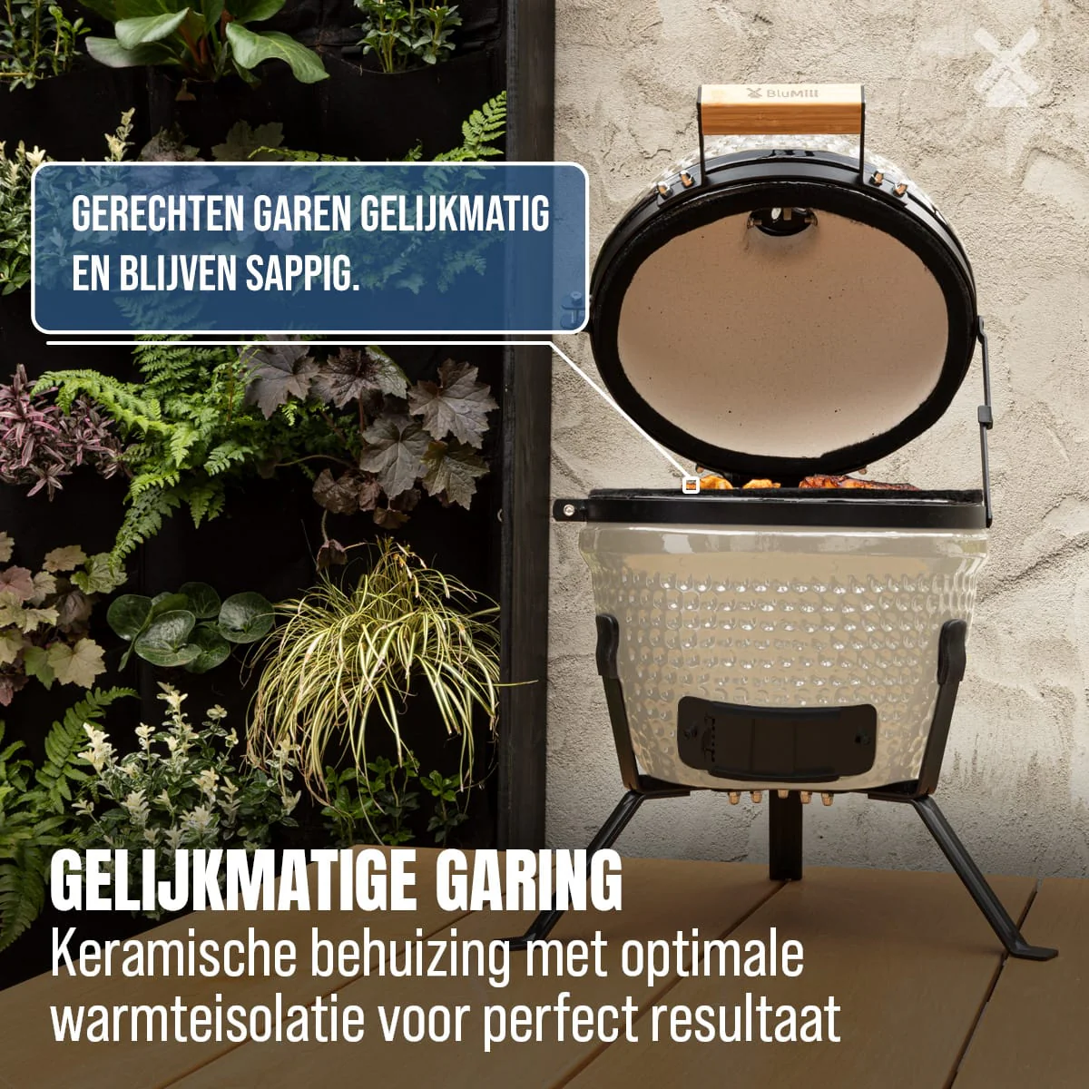 Miniatuur 4