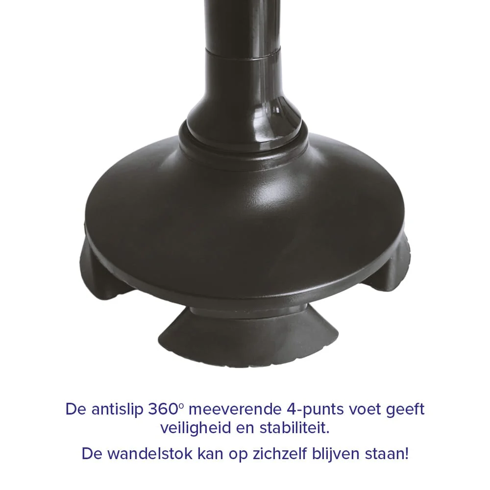 Miniatuur 12
