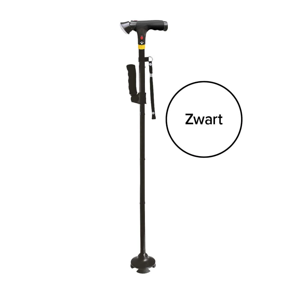 Miniatuur 18